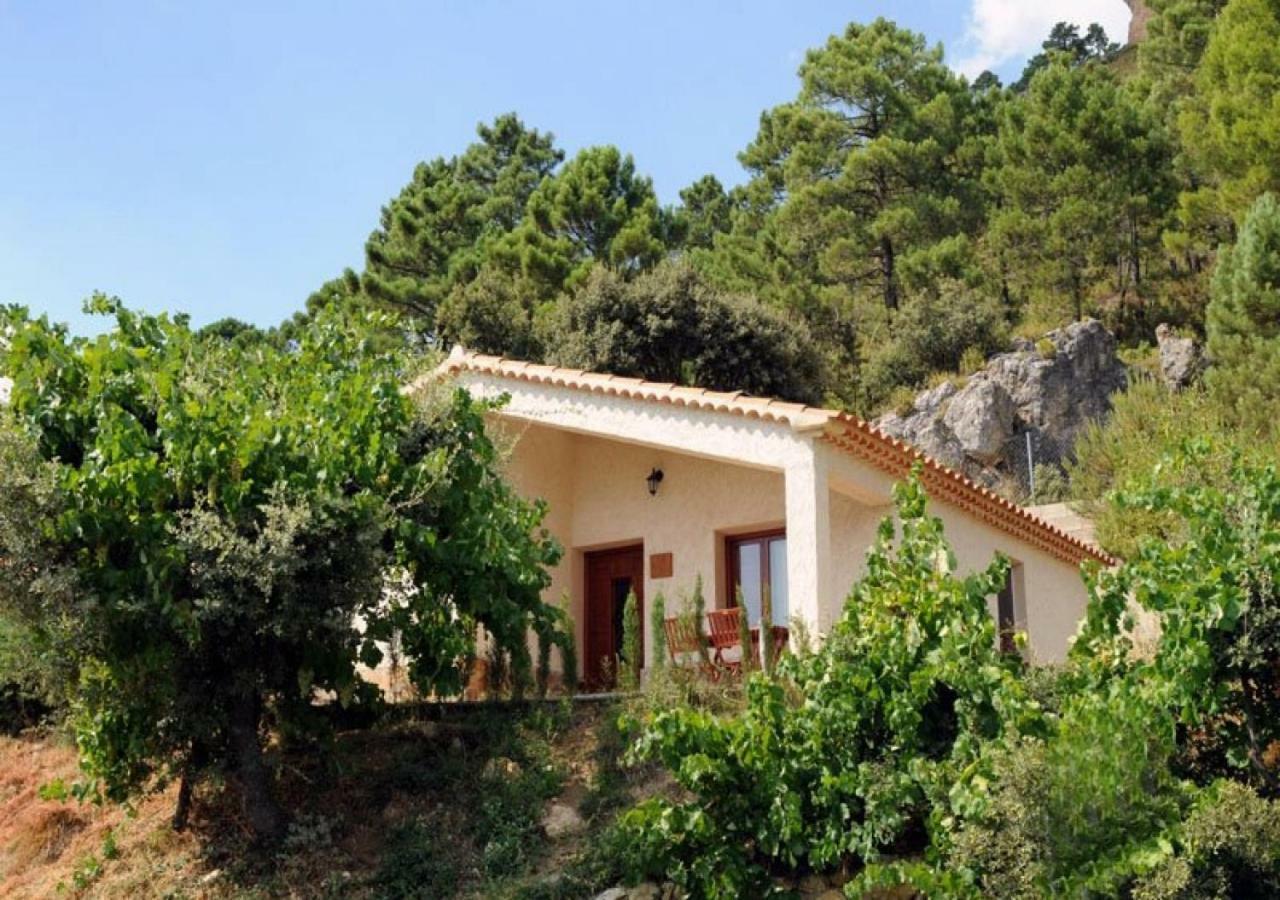 Casas Rurales Mirador Del Mundo Yeste Extérieur photo